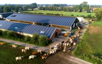 Zonnepanelen op boerderij