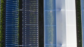 Agri-pv vervangt plastic boven fruitteelt