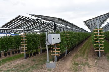 Omvormer in combinatie met agri-pv