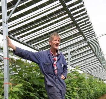 Piet Albers en zijn fruit