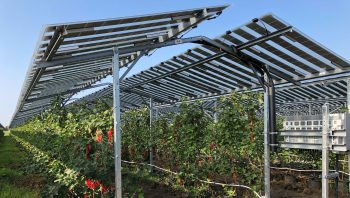 Constructie agri-pv boven zachtfruit