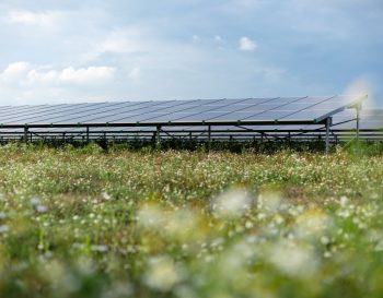Zonnepark Oranjepoort Emmen