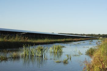 Zonnepark in Oosterwolde