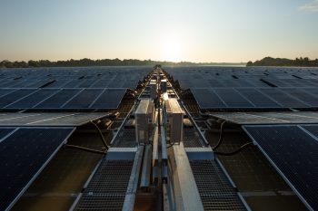 duurzame statement van roelofs