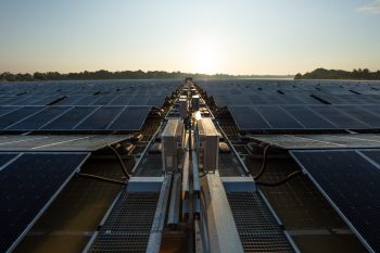 duurzame statement van roelofs