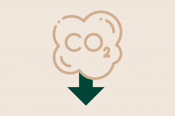 Visualisatie van CO2 reductie