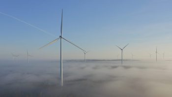 Windmolens in een landschap