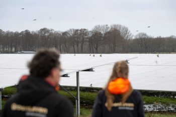 Vogels op zonnepanelen