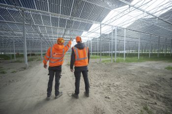 Middenmeer Agri-PV