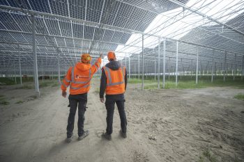 Middenmeer Agri-PV