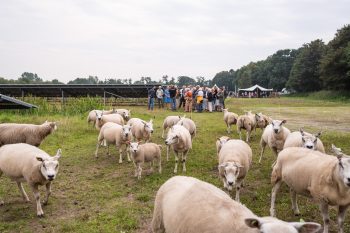 Officiële opening zonnepark Leeuwenhorsterhoek, Noordwijkerhout