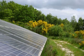 biodiversiteit zon op land Exloo