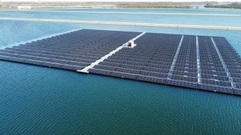 Berenplaat Evides Eneco Berenplaat Evides Eneco